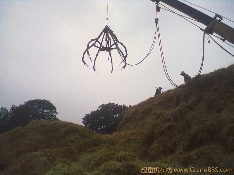 20120626611.jpg