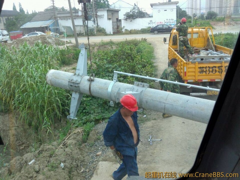 lvminghua4568hl110maomao754128.jpeg
