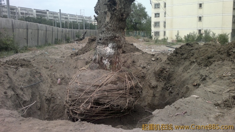 2012-06-30-2902.jpg