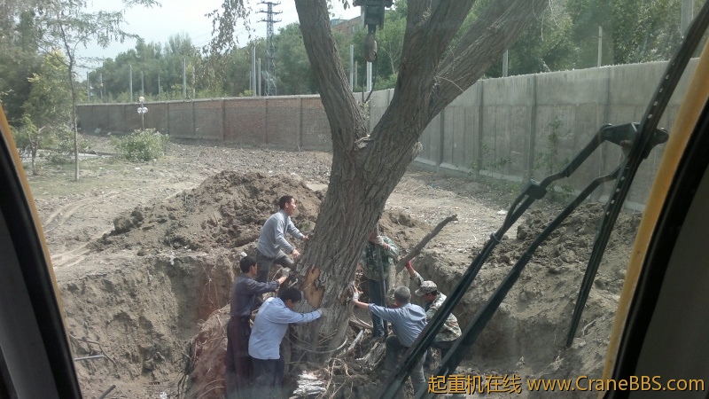 2012-06-30-2903.jpg