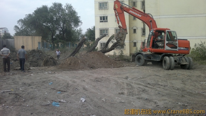 2012-06-30-2906.jpg