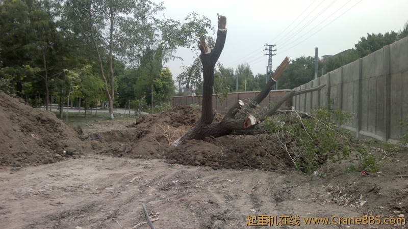 2012-06-30-2900.jpg
