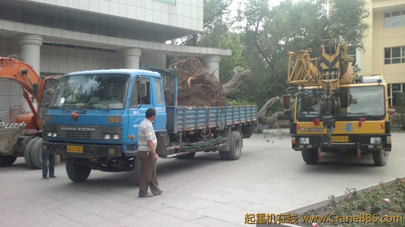 2012-06-30-2918.jpg