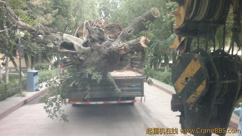 2012-06-30-2919.jpg