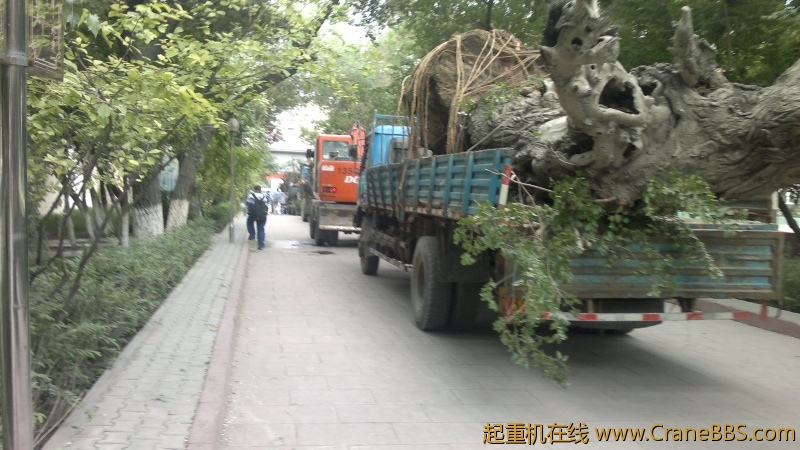 2012-06-30-2920.jpg