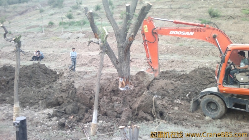 2012-06-30-2935.jpg