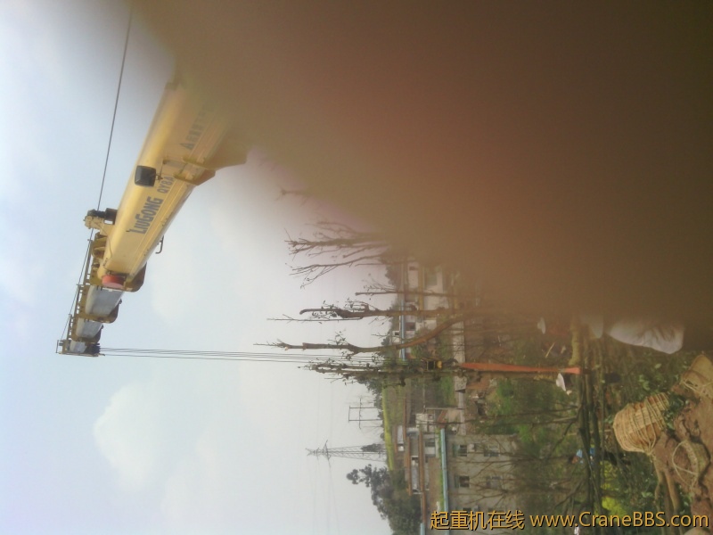 IMG_20120326_142405.jpg