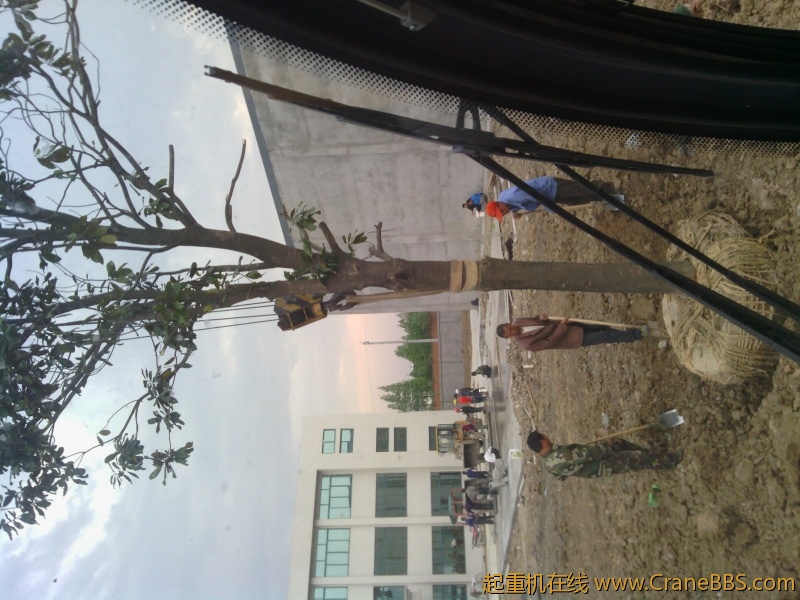 IMG_20120422_183714.jpg