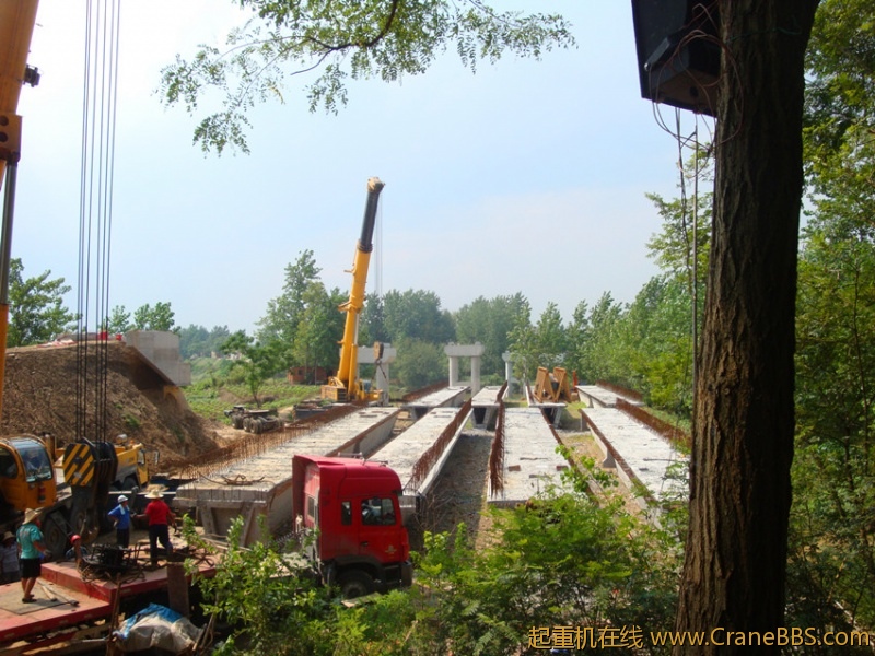 DSC08574_副本.jpg