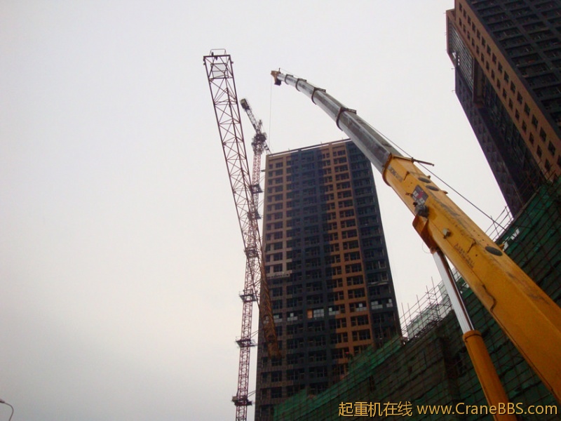 DSC08642_副本.jpg