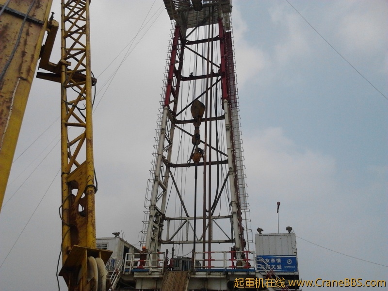 IMG_20120706_115557.jpg