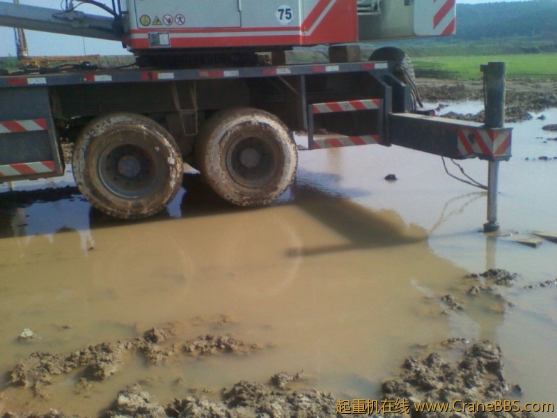 IMG_20120709_083010.jpg