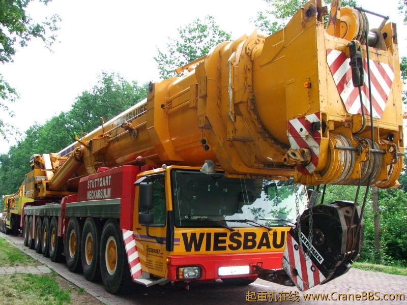 Wiesbauer LTM 1500 DSC00797 _3_.jpg