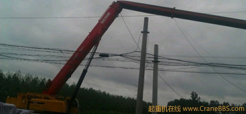 南京的 
