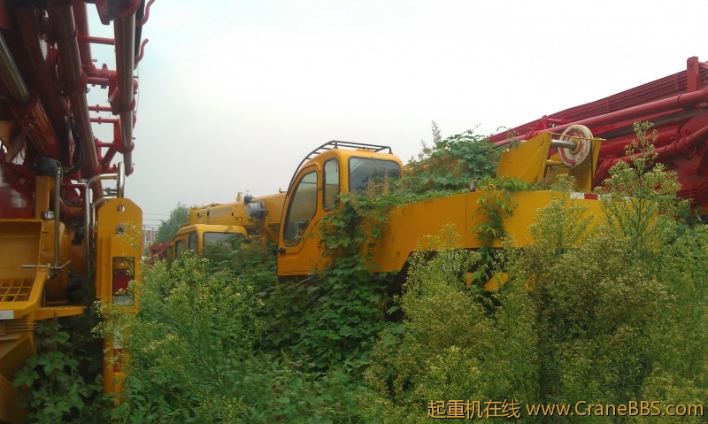 IMAG0686.jpg