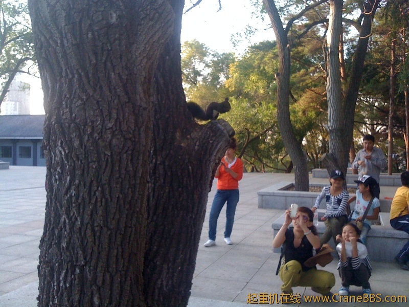 手机照片 9110.jpg