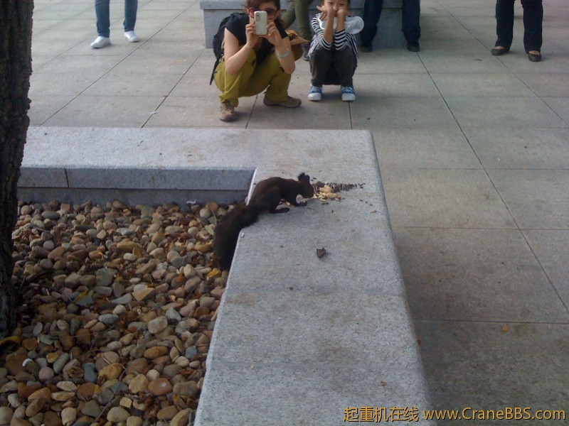 手机照片 9117.jpg