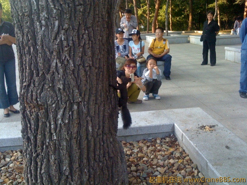 手机照片 9137.jpg