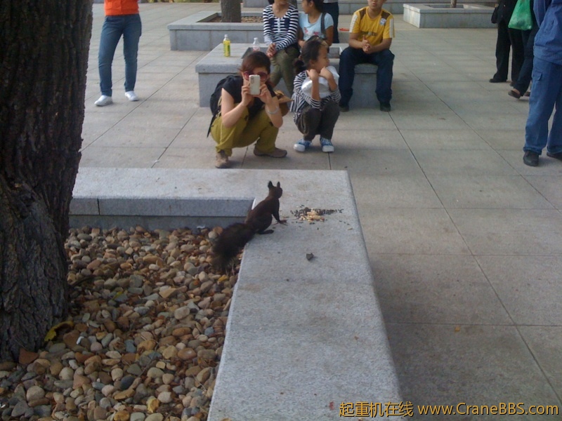 手机照片 9125.jpg