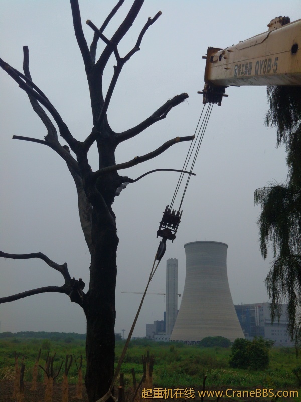 IMG20120913140506.jpg
