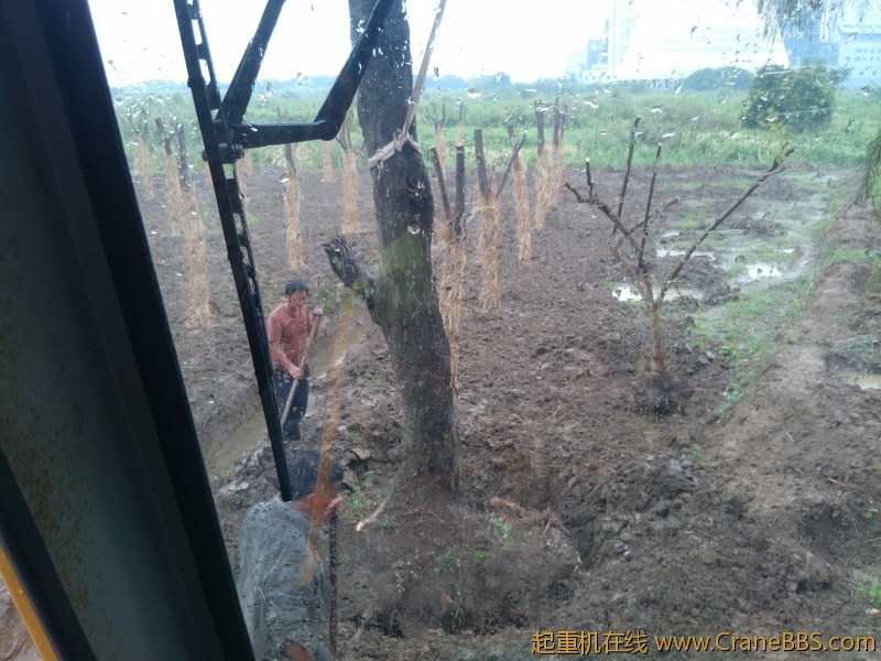 IMG20120913140412.jpg