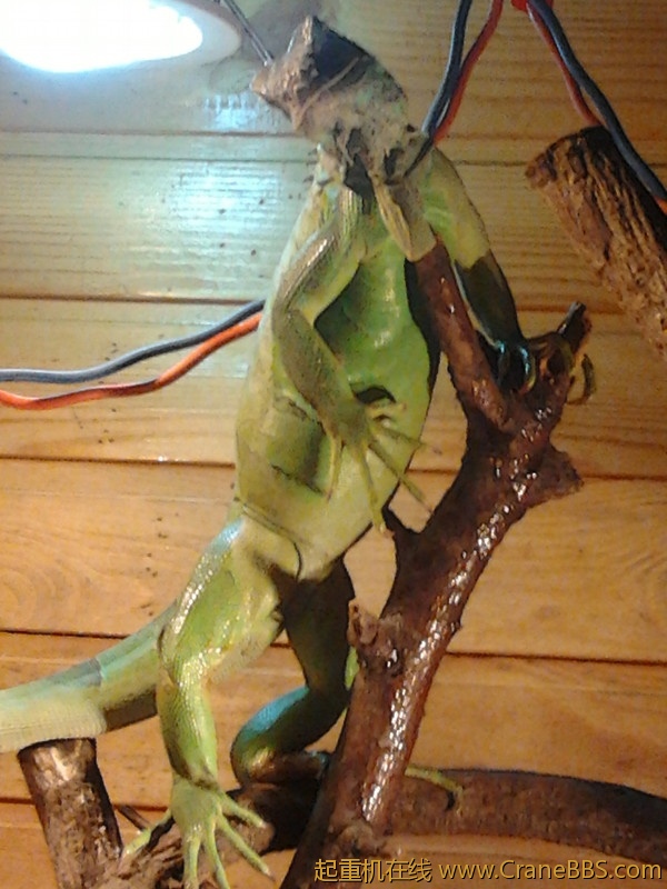 2012-07-27 21.56.51_副本.jpg