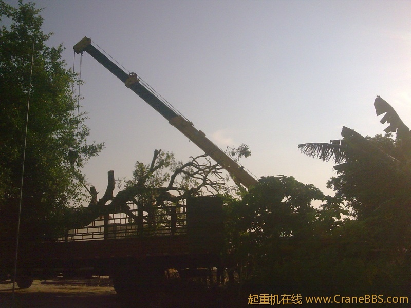 图像0686.jpg