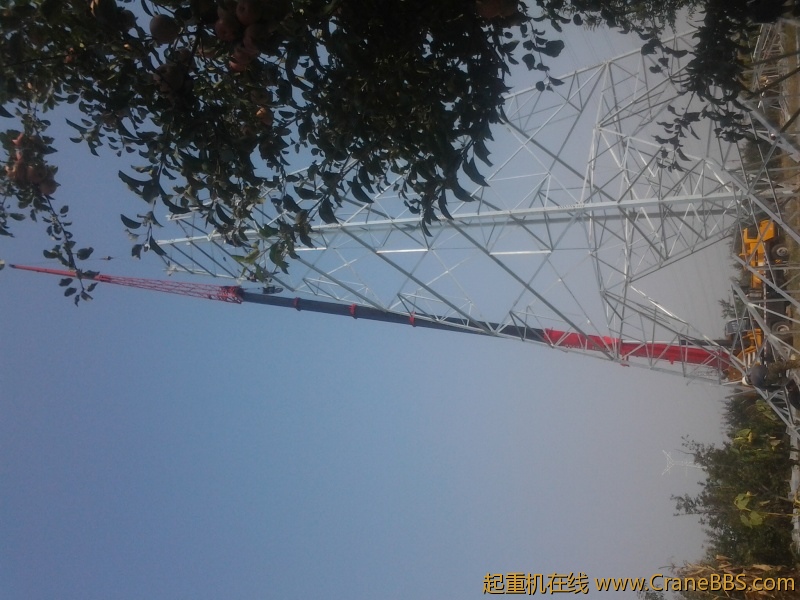 照片0365.jpg