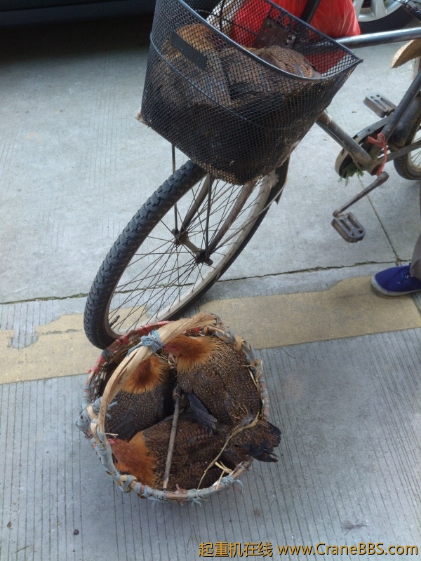 IMG20120924095022.jpg