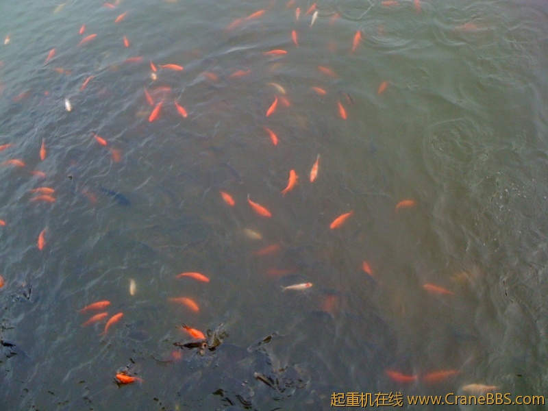 手机照片 9519.jpg