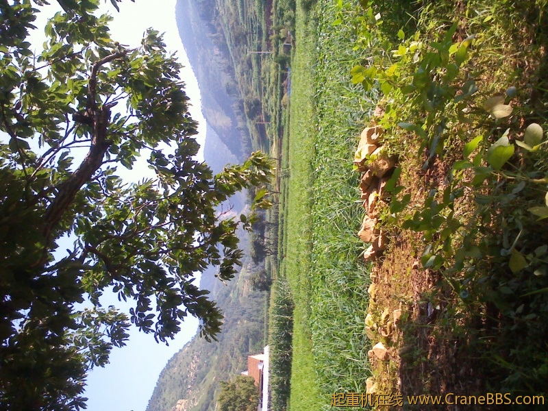IMG_20120823_082418.jpg