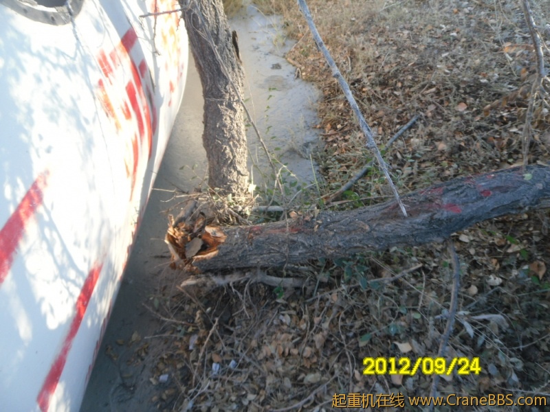 SAM_0903.JPG