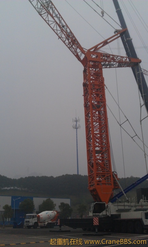IMAG0381.jpg