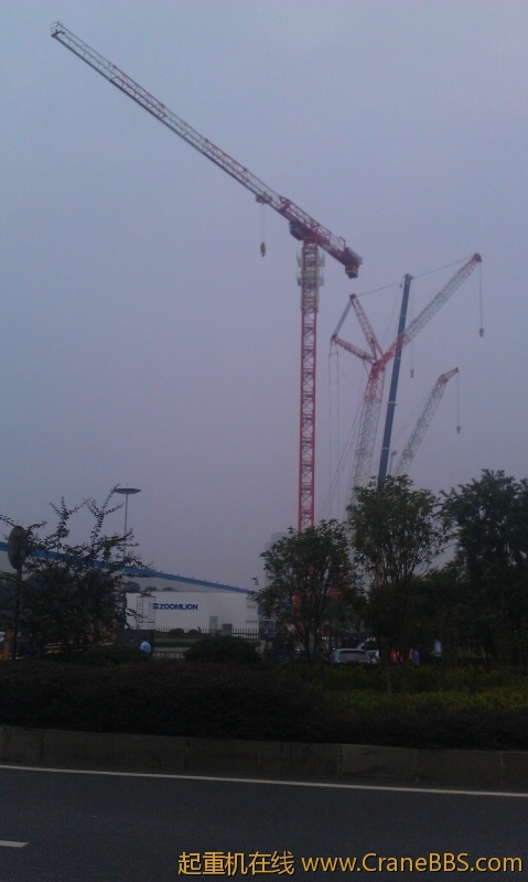 IMAG0383.jpg