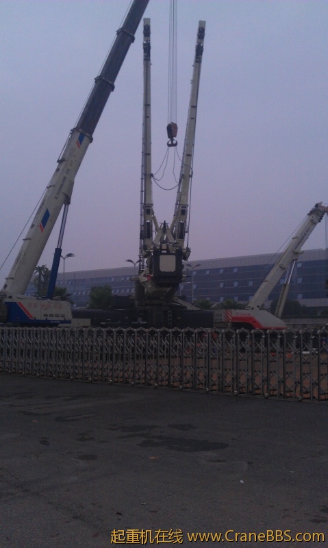 IMAG0378.jpg