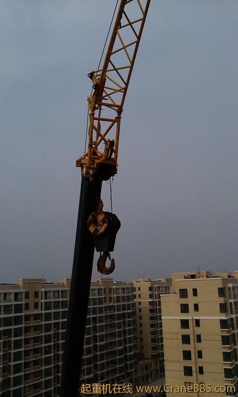 IMAG0099.jpg