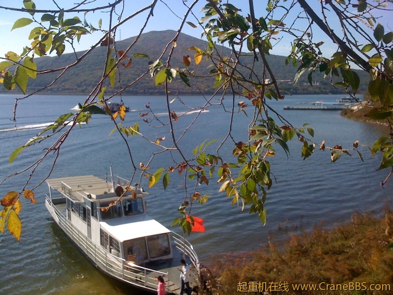 手机照片 025.jpg