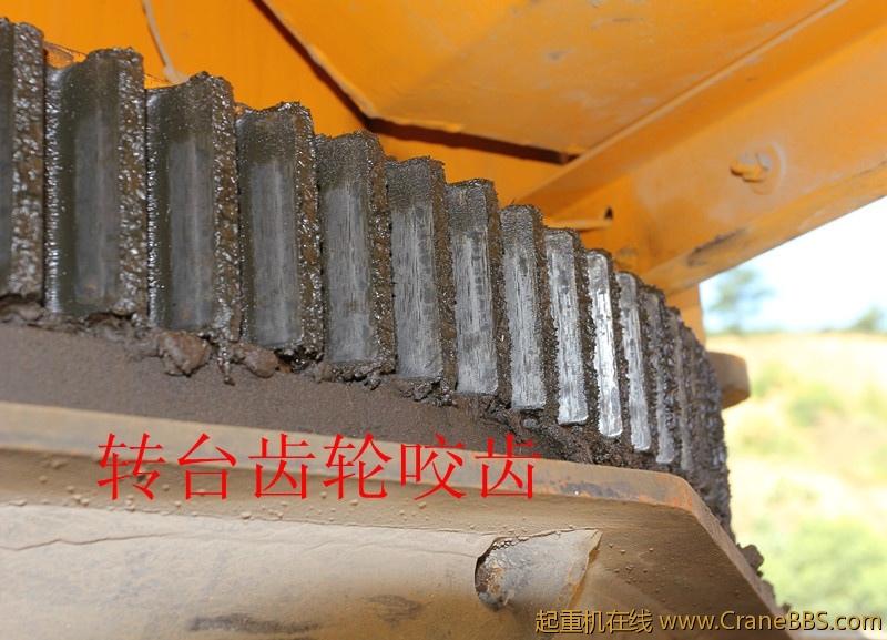 IMG_5486_副本.jpg