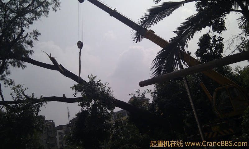 IMAG0030.jpg