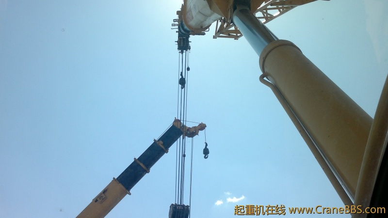 照片 115.jpg