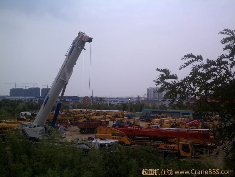 IMAG1116.jpg