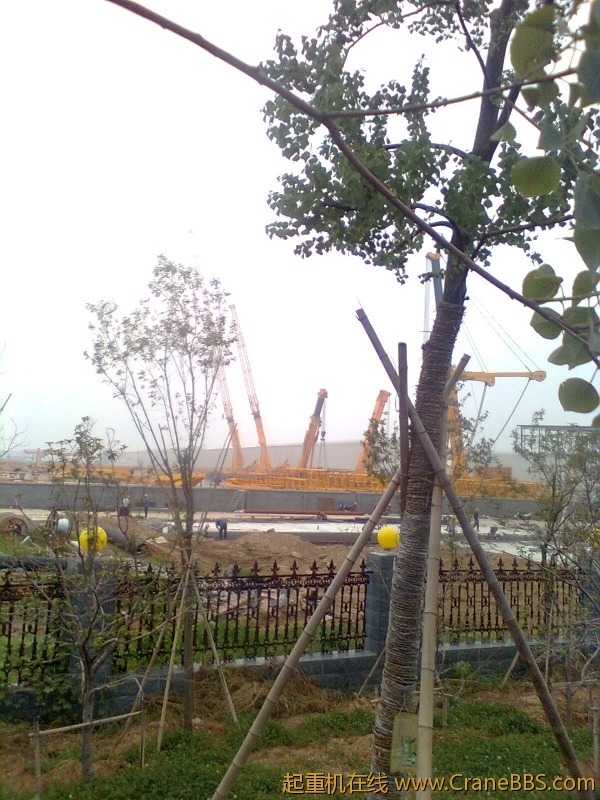 图像0806.jpg