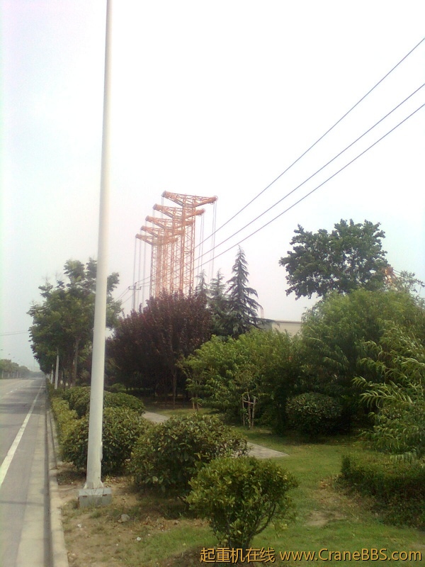 图像0802.jpg
