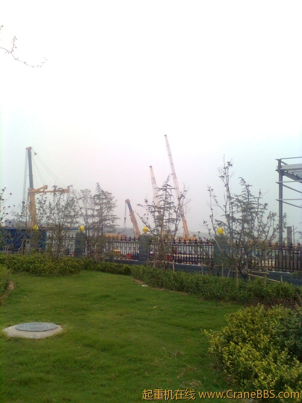 图像0816.jpg