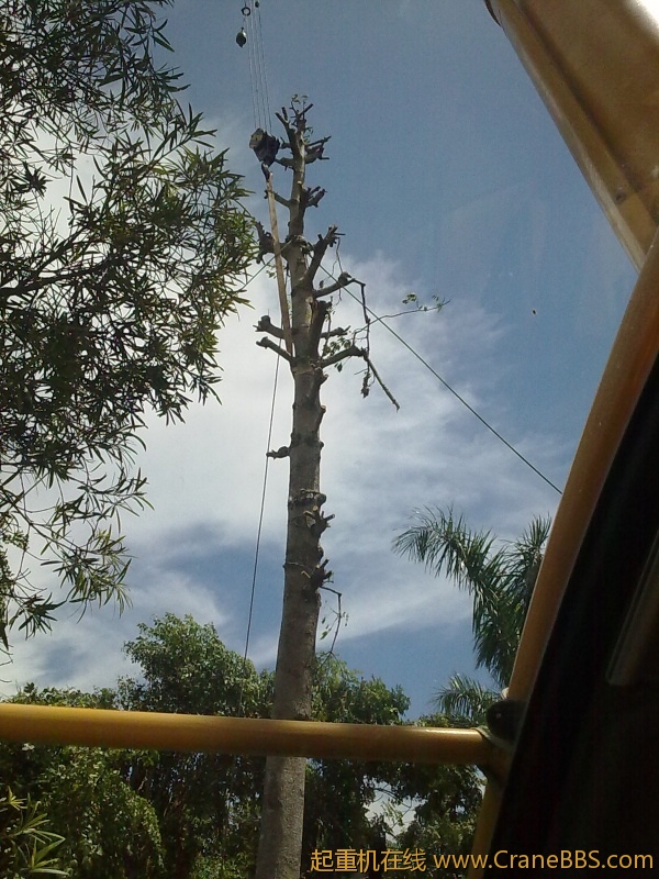 20120819202.jpg