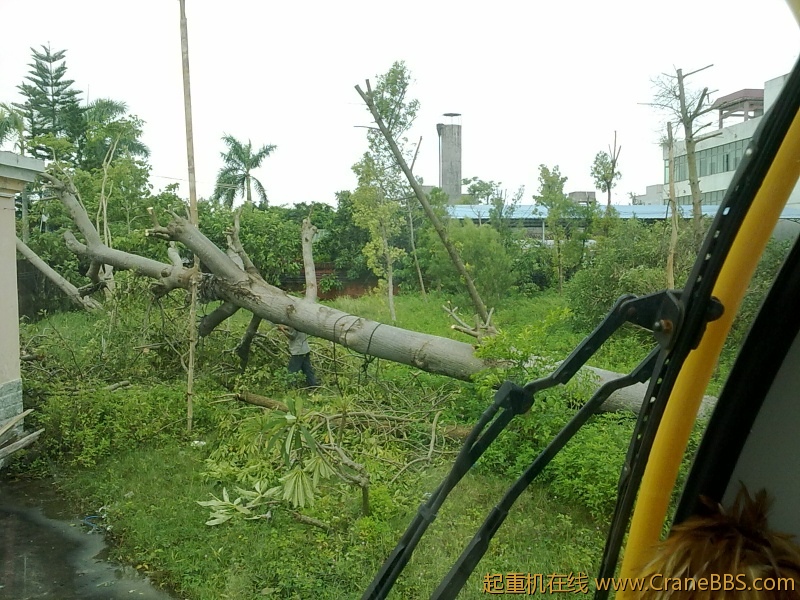 20120819193.jpg