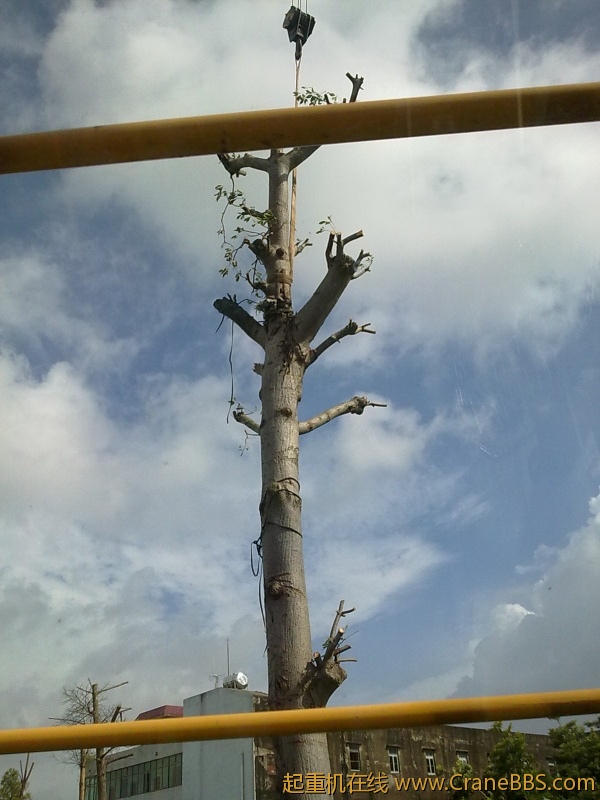20120819194.jpg