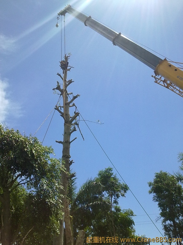 20120819206.jpg