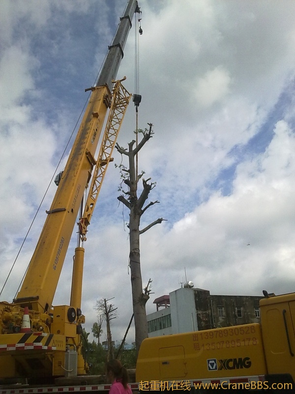 20120819197.jpg