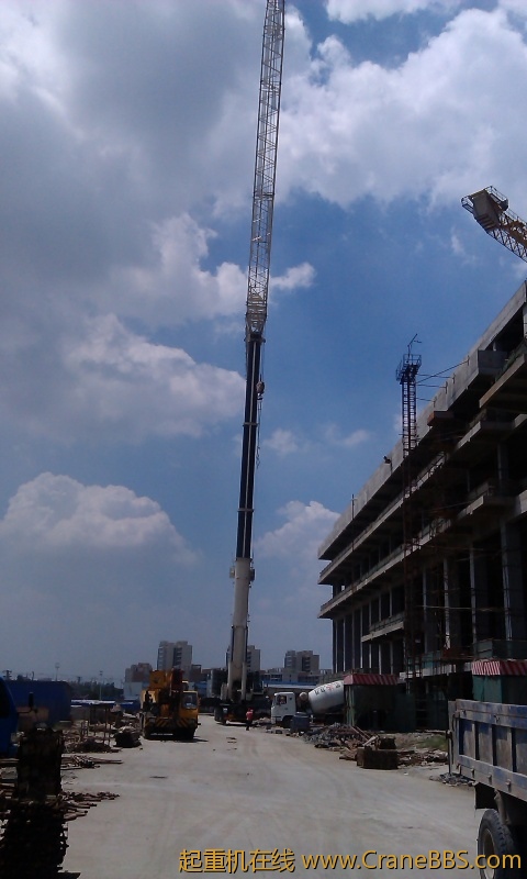 IMAG0031.jpg